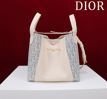 Kitlife Dior Signature Bucket Bag White & Light Blue Oblique 21x19x11cm