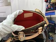 Kitlife Louis Vuitton x TM Nano Alma Bag Brown Cherry M13416 18x12x8cm - 4