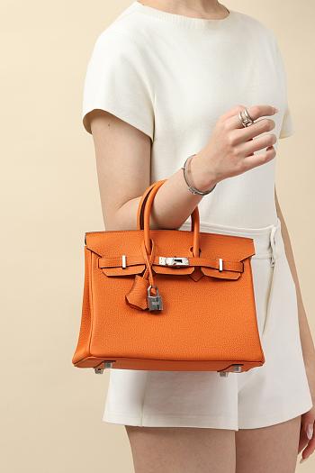 Kitlife Hermes Birkin Togo Leather Bag Orange With Silver Hardware BK250420 25x20x13cm