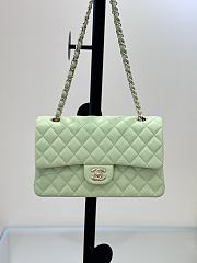 Kitlife Chanel Classic Flap Bag in Light Green Lambskin 25cm - 1