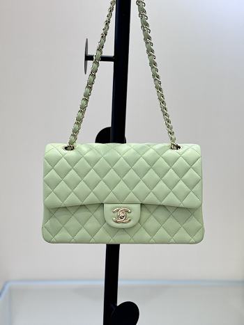 Kitlife Chanel Classic Flap Bag in Light Green Lambskin 25cm