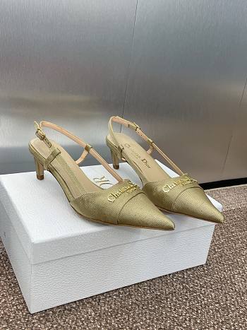 Kitlife Dior CD Letter Logo Metal Buckle Stiletto Heeled Sandals Gold Technical Fabric