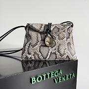Kitlife Bottega Veneta Liberta Bag Python Leather 27x16x6cm - 1