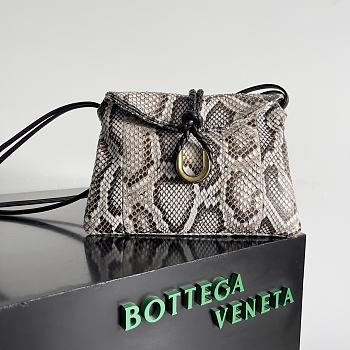 Kitlife Bottega Veneta Liberta Bag Python Leather 27x16x6cm