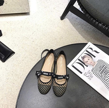Dior Flats series