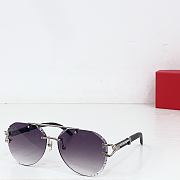 Kitlife Cartier Sunglasses CT0532S - 2