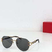 Kitlife Cartier Sunglasses CT0532S - 4