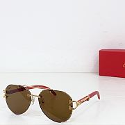 Kitlife Cartier Sunglasses CT0532S - 5