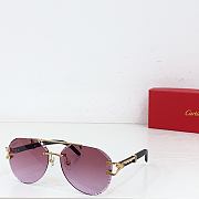 Kitlife Cartier Sunglasses CT0532S - 6