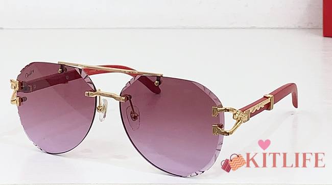 Kitlife Cartier Sunglasses CT0532S - 1