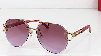 Kitlife Cartier Sunglasses CT0532S
