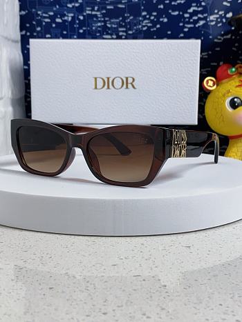 Kitlife Dior 2025 Sunglasses Brown