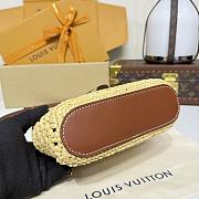 Kitlife Louis Vuitton Vanity Chain Pouch Handbag Raffia Beige M14303 19x11.5x6.5cm - 6