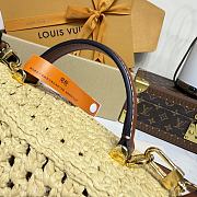 Kitlife Louis Vuitton Vanity Chain Pouch Handbag Raffia Beige M14303 19x11.5x6.5cm - 5