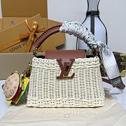 Kitlife Louis Vuitton Capucines Bag Rattan And Brown Leather M14365 21x8x14cm - 1