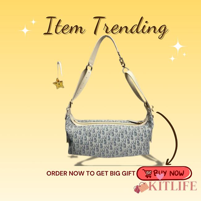 Kitlife Dior D-Journey Medium Hobo Bag White & Light Blue M2417 33 x16 x15 cm - 1