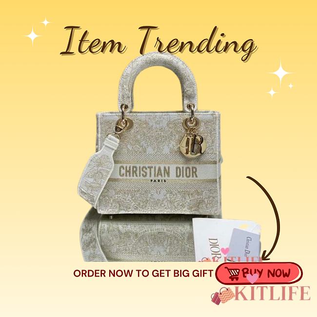 Kitlife Dior Lady D-life beige bag - 24x20x11cm - 1