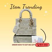 Kitlife Dior Lady D-life beige bag - 24x20x11cm - 1