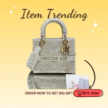 Kitlife Dior Lady D-life beige bag - 24x20x11cm