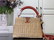 Kitlife Louis Vuitton x TM Capucines Bag Rattan, Red Cowhide leather, Monogram Cherry Denim M14295 27x18x9cm - 1