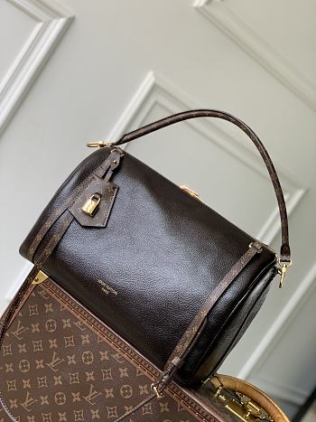 Kitlife Louis Vuitton Express MM Bag Brown Leather M26359 36x24x18.5cm