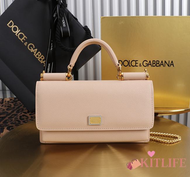 Kitlife Dolce & Gabbana Pink Leather Chain-strap Crossbody Bag 20x11x3cm - 1