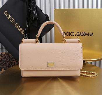 Kitlife Dolce & Gabbana Pink Leather Chain-strap Crossbody Bag 20x11x3cm