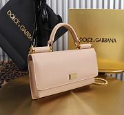 Kitlife Dolce & Gabbana Pink Leather Chain-strap Crossbody Bag 20x11x3cm - 6