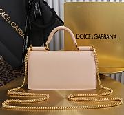 Kitlife Dolce & Gabbana Pink Leather Chain-strap Crossbody Bag 20x11x3cm - 3