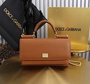 Kitlife Dolce & Gabbana Brown Leather Chain-strap Crossbody Bag 20x11x3cm - 1
