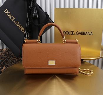 Kitlife Dolce & Gabbana Brown Leather Chain-strap Crossbody Bag 20x11x3cm