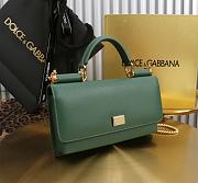 Kitlife Dolce & Gabbana Green Leather Chain-strap Crossbody Bag 20x11x3cm - 2