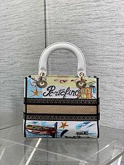 Kitlife Dior Lady Diana Natural Raffia and Multicolor Embroidered Bag 24x11x20cm - 5