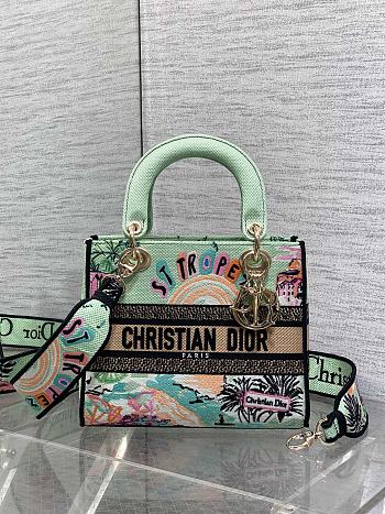 Kitlife Dior Lady Diana Green Raffia and Multicolor Embroidered Bag 24x11x20cm