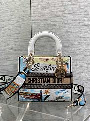 Kitlife Dior Lady Diana Natural Raffia and Multicolor Embroidered Bag 24x11x20cm - 1