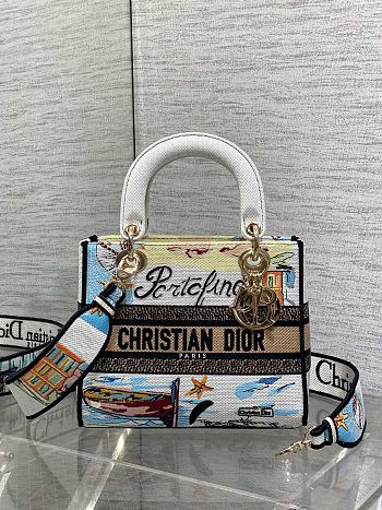 Kitlife Dior Lady Diana Natural Raffia and Multicolor Embroidered Bag 24x11x20cm