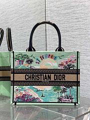 Kitlife Dior Souvenir Medium Green Natural Raffia And Multicolor Book Tote 36x18x28cm - 1