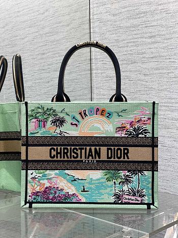 Kitlife Dior Souvenir Medium Green Natural Raffia And Multicolor Book Tote 36x18x28cm