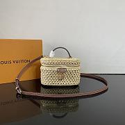 Kitlife Louis Vuitton Vanity Chain Pouch Handbag Raffia Beige M14303 19x11.5x6.5cm - 1