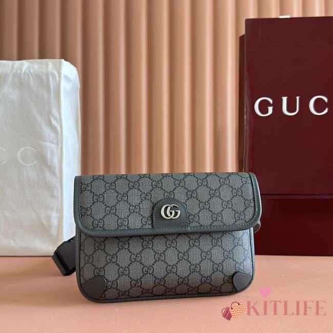 Kitlife Gucci Ophidia Small Belt Bag Grey 752597 23.9x17x3.6cm - 1