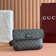Kitlife Gucci Ophidia Small Belt Bag Grey 752597 23.9x17x3.6cm - 1