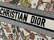 Kitlife Dior Multi-colored Animaux Fantastiques Pattern Book Tote 36.5x28x14cm  - 2