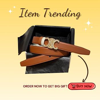 Kitlife Celine Arc de Triomphe Classic Reversible Belt Brown & White 25mm