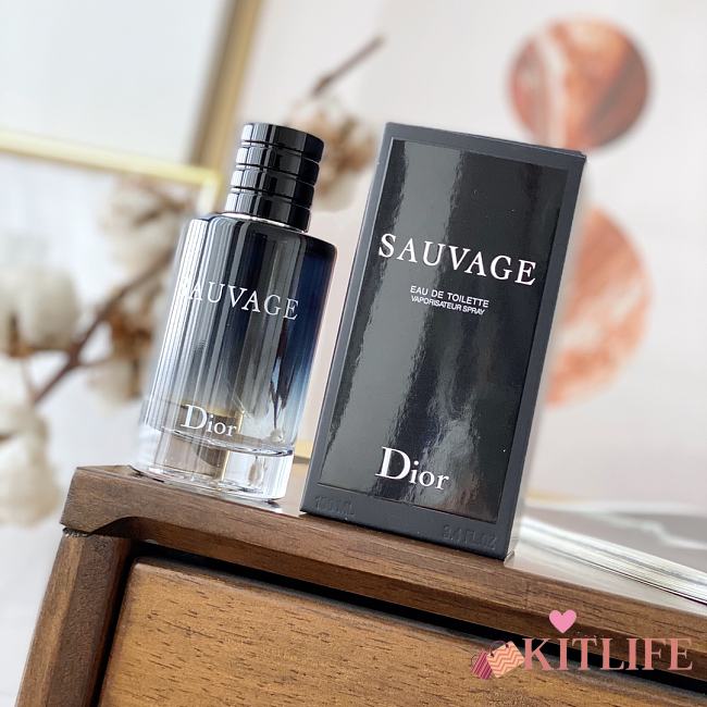 Kitlife Dior Sauvage Eau de Toilette For Men 100ml - 1