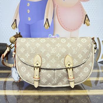 Kitlife Louis Vuitton Travels With Grace Coddington Bag M15134 30x7x21cm