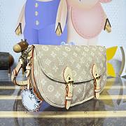 Kitlife Louis Vuitton Travels With Grace Coddington Bag M15134 30x7x21cm - 6