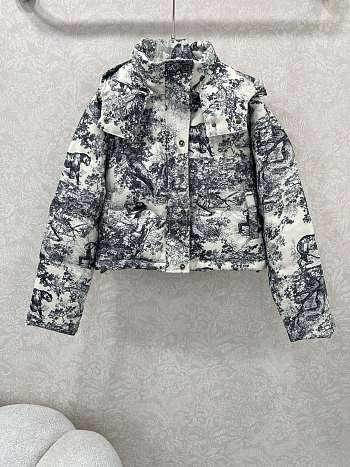 Kitlife Dior 25 Classic Jungle Animal Tiger Pattern  Down Jacket