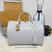 Kitlife Louis Vuitton Speedy Soft 30 Bag Grey Embossed Leather M25670 30x21x17cm - 1