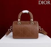 Kitlife Dior Lady Cannage Handbag Dark Brown Leather 24×27×14cm  - 6