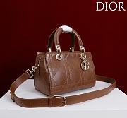 Kitlife Dior Lady Cannage Handbag Dark Brown Leather 24×27×14cm  - 5